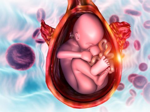 Persiapan Persalinan: Beberapa Komplikasi Saat Persalinan